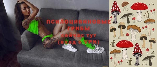 первитин Богданович
