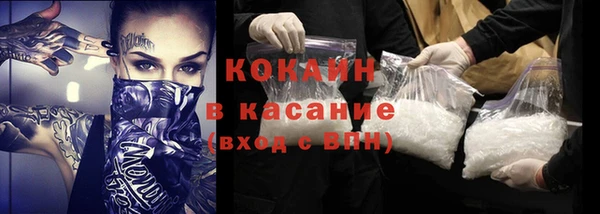 первитин Богданович