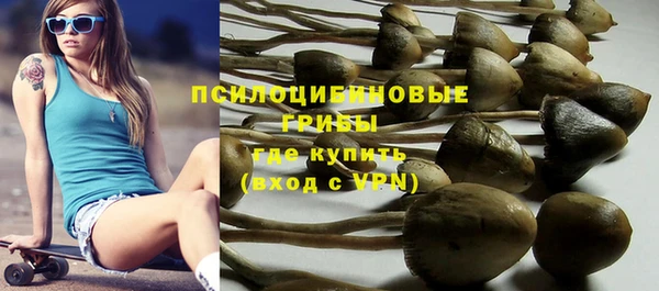 метадон Богородицк
