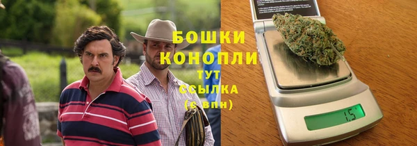 первитин Богданович