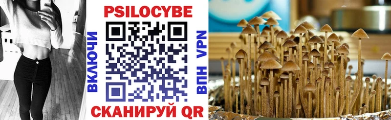 Псилоцибиновые грибы Psilocybine cubensis Севастополь